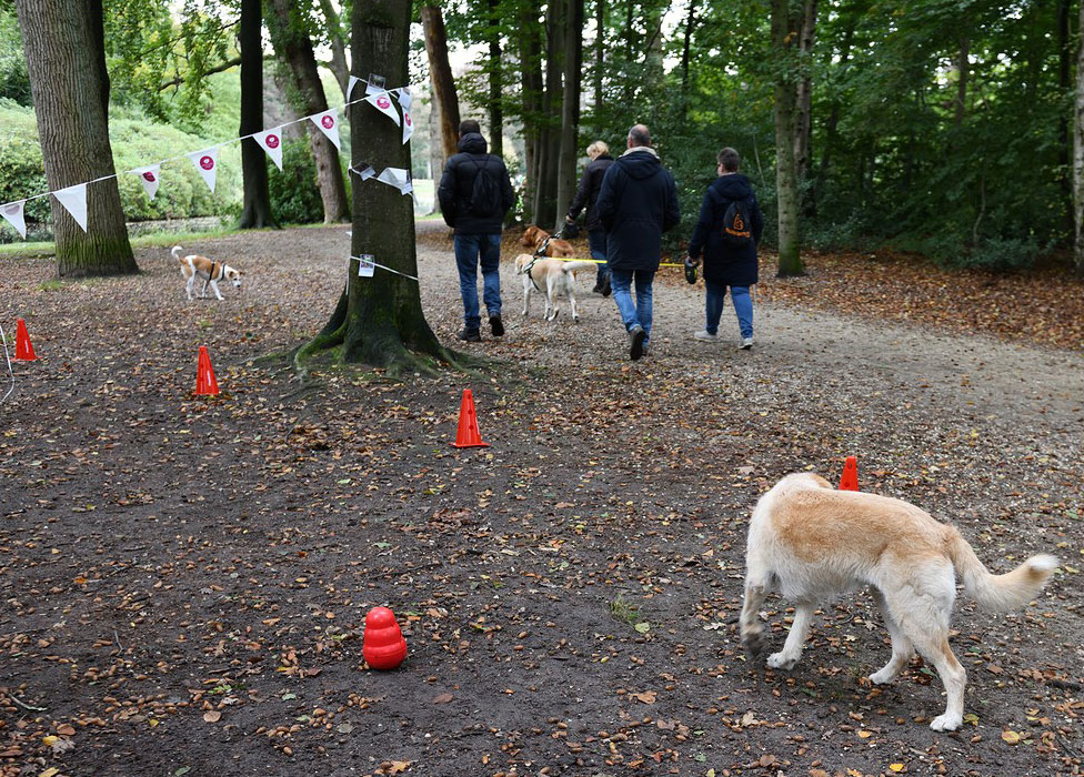 Bubbles bones-wandeling