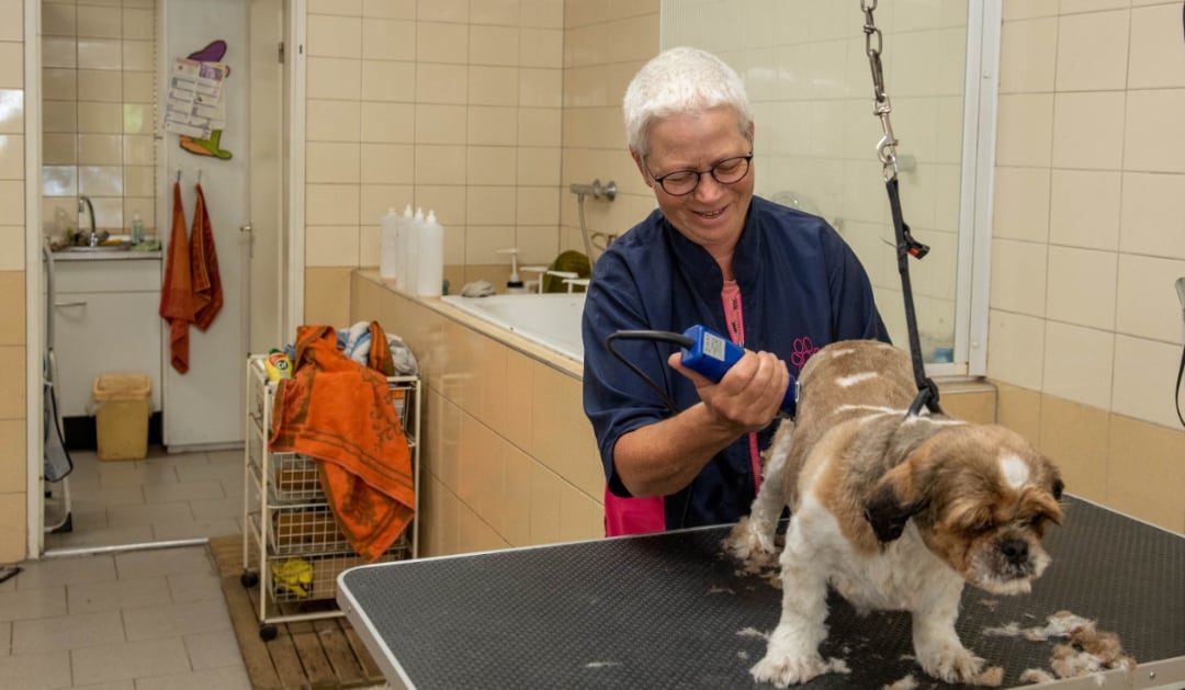 trimsalon joke kruis