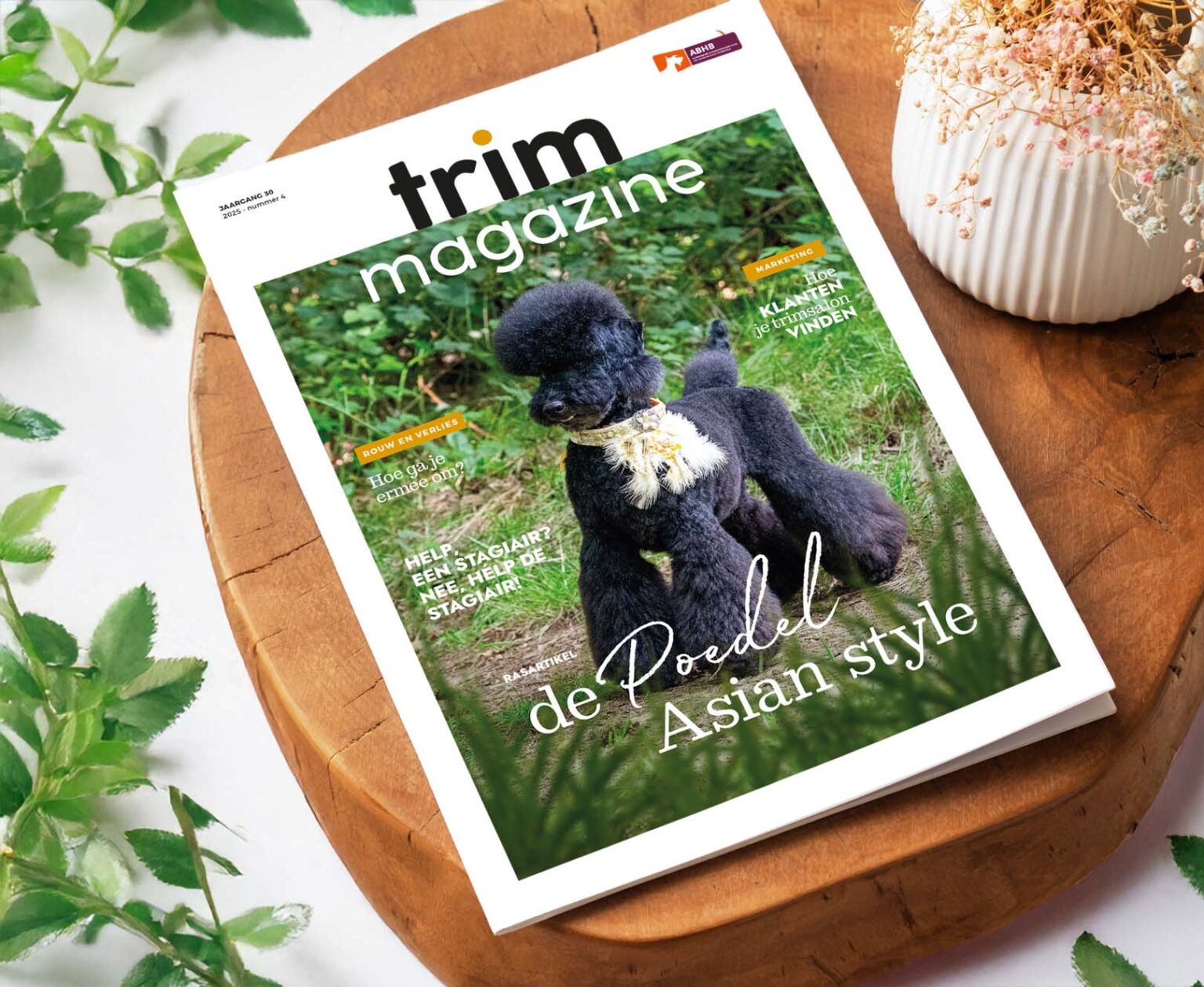 Proefnummer ABHB TrimMagazine
