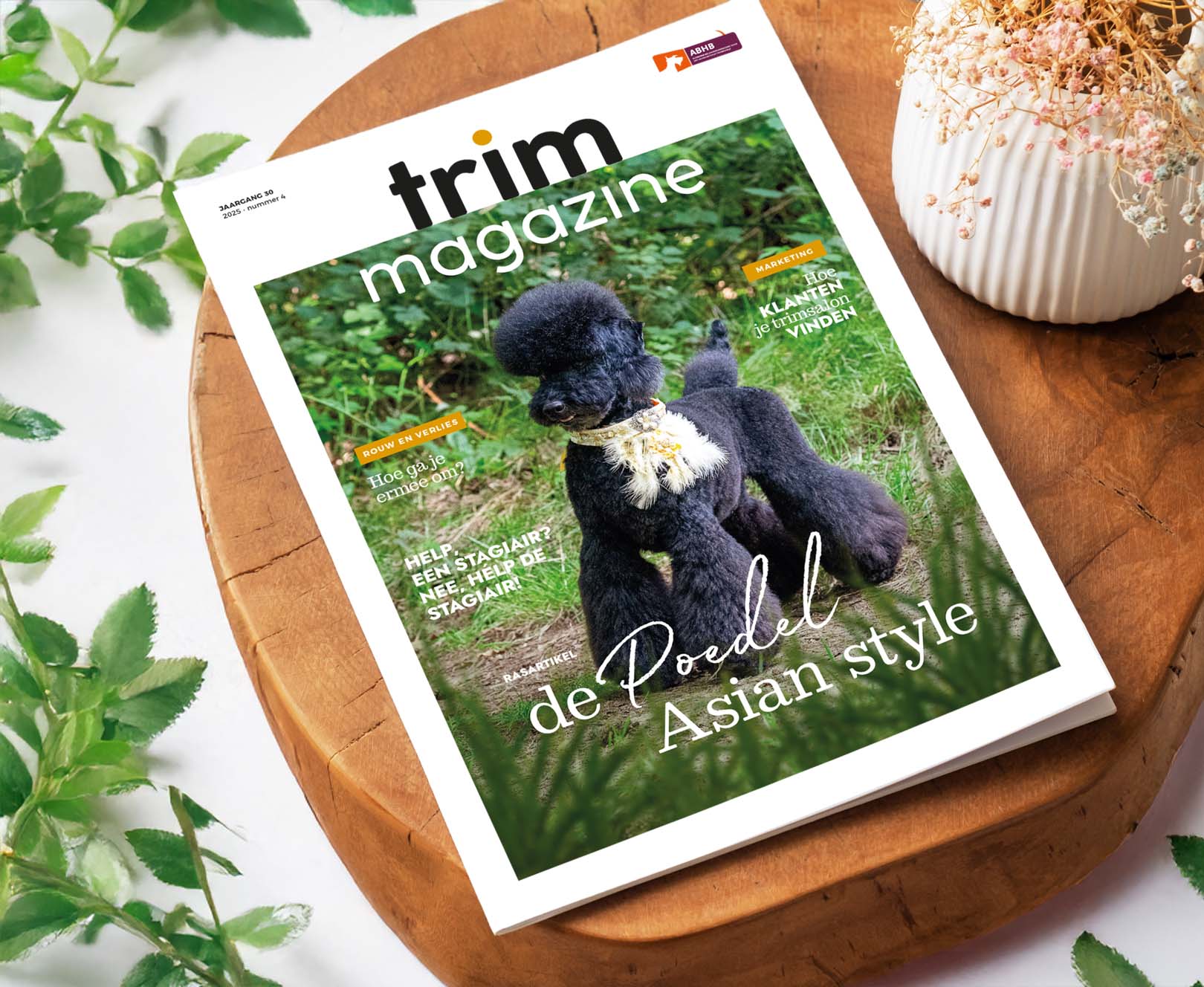 Proefnummer ABHB TrimMagazine